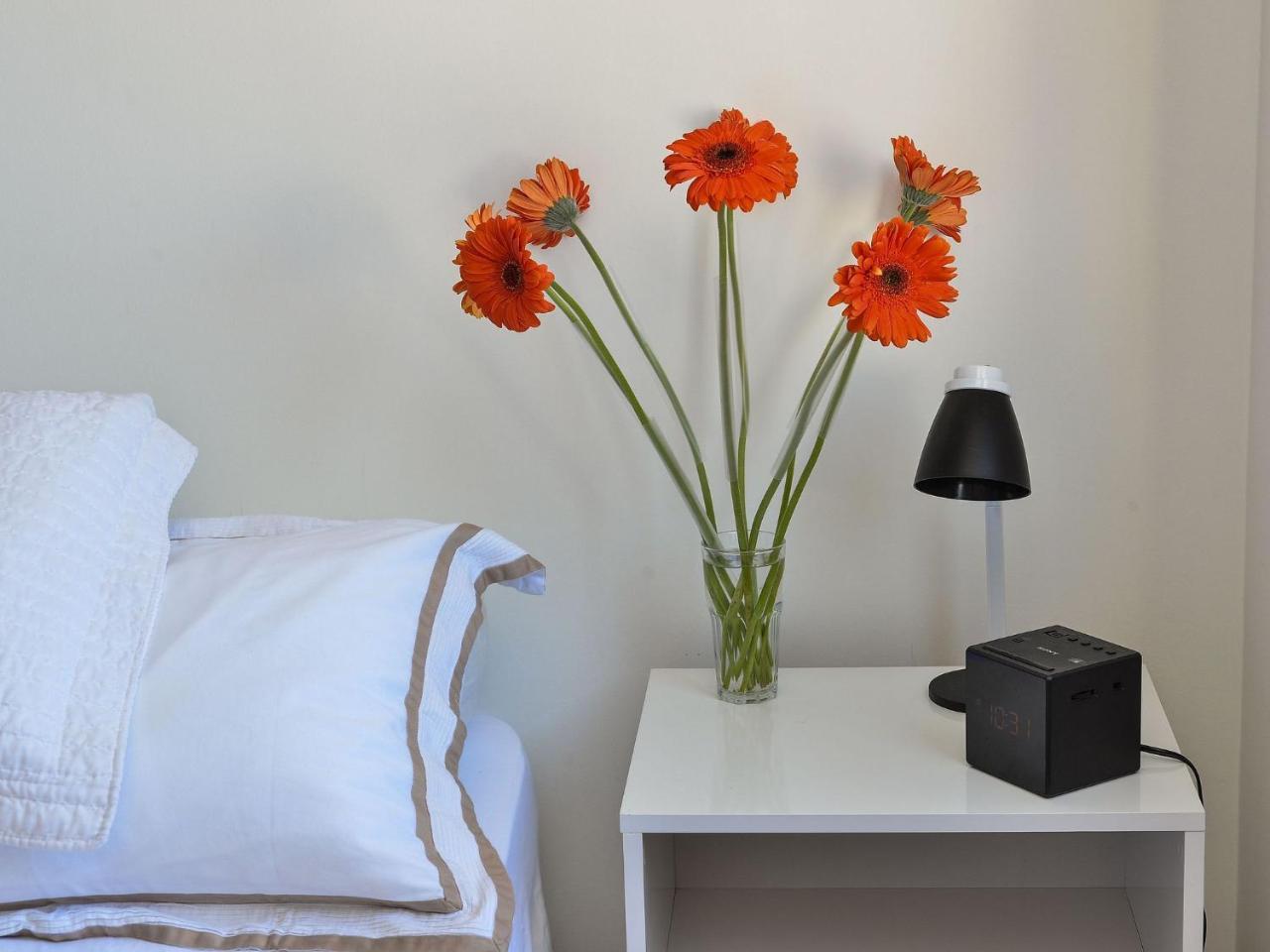 סאו פאולו Apartamento Aconchegante Com Vista Incrivel, Piscina E Vaga מראה חיצוני תמונה